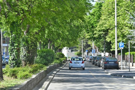 Faápolási munkák miatt szakaszos parkolózárás a Rákóczi utcában